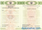 Диплом училища 2010-2026