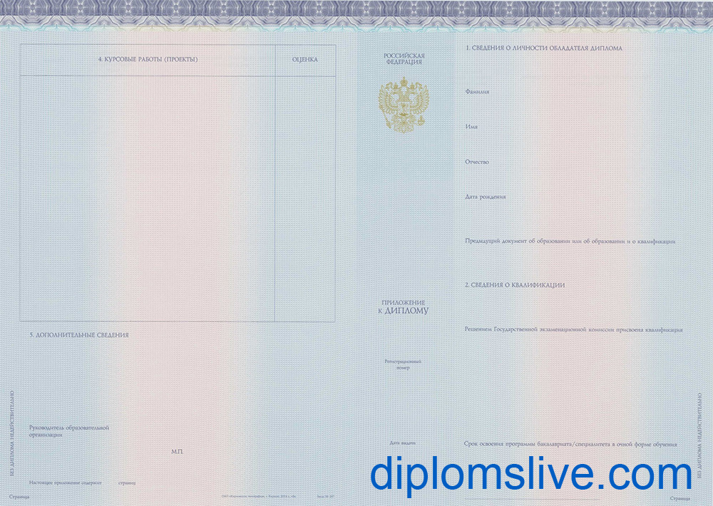 Диплом специалиста 2014-2019 год Киржач фото